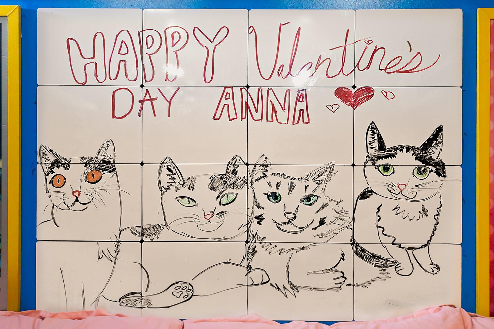 Фото маркерної дошки над моїм ліжком, прикрашеної малюнками до Дня святого Валентина, які я намалювала для моєї любої Аnna. На дошці моїм кривим червоним почерком написано «HAPPY Valentine's DAY ANNA ♡♥♡», а також там мої дуже примітивні малюнки її котів: Шоті, чорно-білий з бурштиновими очима; Пурі, чорно-біла з зеленими очима; Батон, пухнастий сірий із зеленими очима; та Сирник, чорно-білий із зеленими очима.